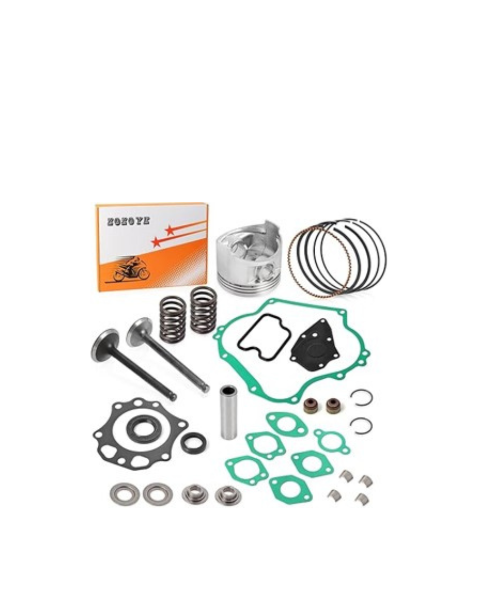 Rebuild Kit DS/Precedent FE290 Standard Size