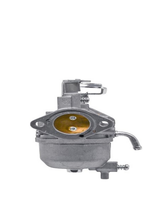 Carb RXV/TXT 2010 on Kawasaki