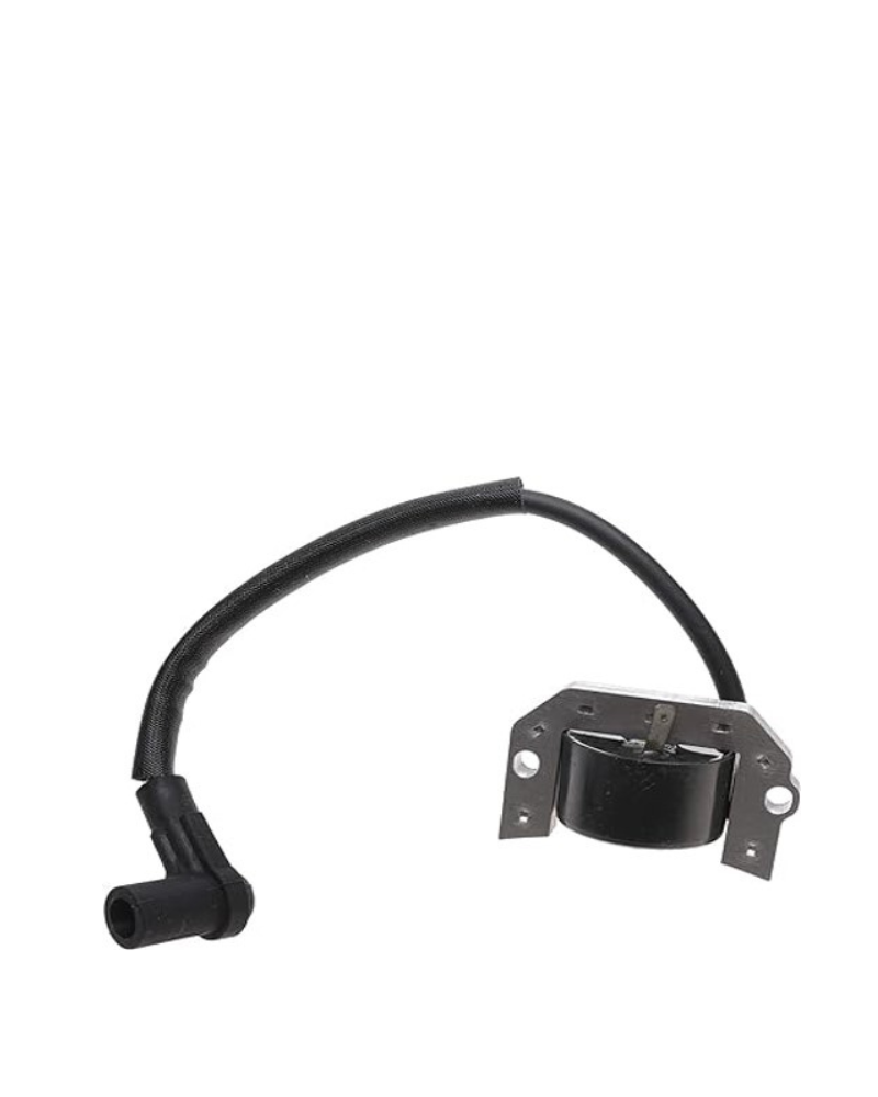 Ignition Coil RXV 2008 on