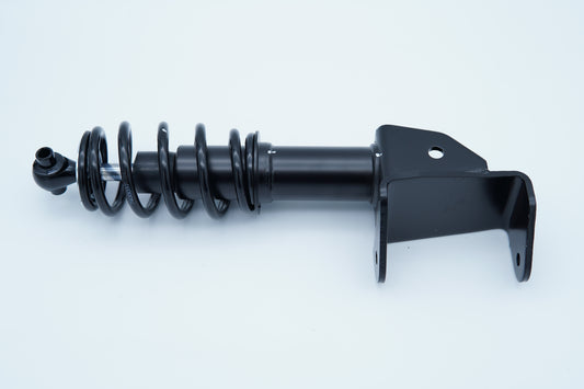 Front Shock Rh G29 2007 on