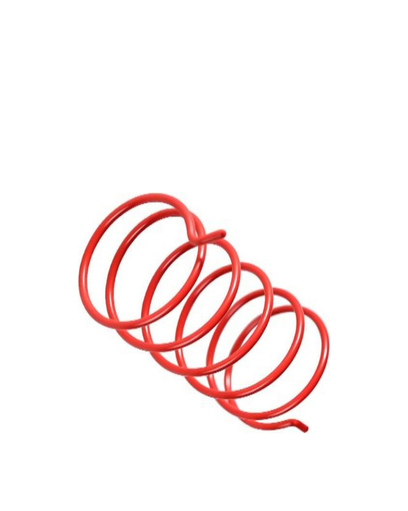 Secondary Clutch Spring