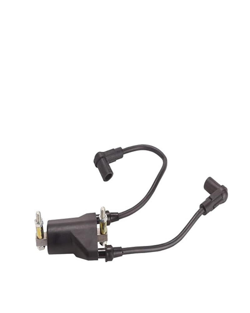 Ignition Coil Dual