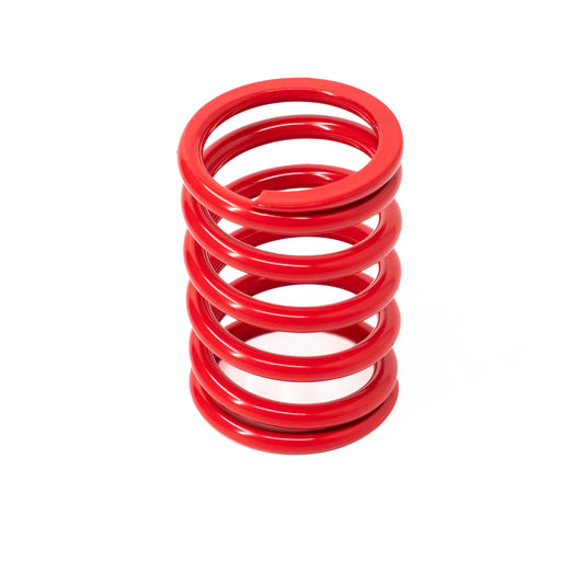 Primary Driven Clutch Power Spring